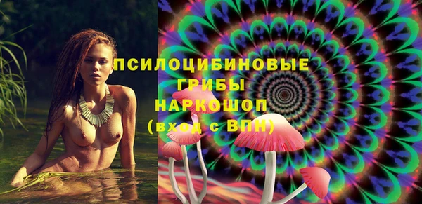 амф Алексин