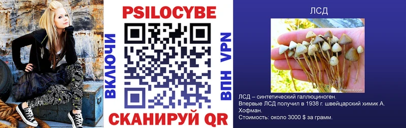 купить   Урай  Псилоцибиновые грибы Psilocybine cubensis 